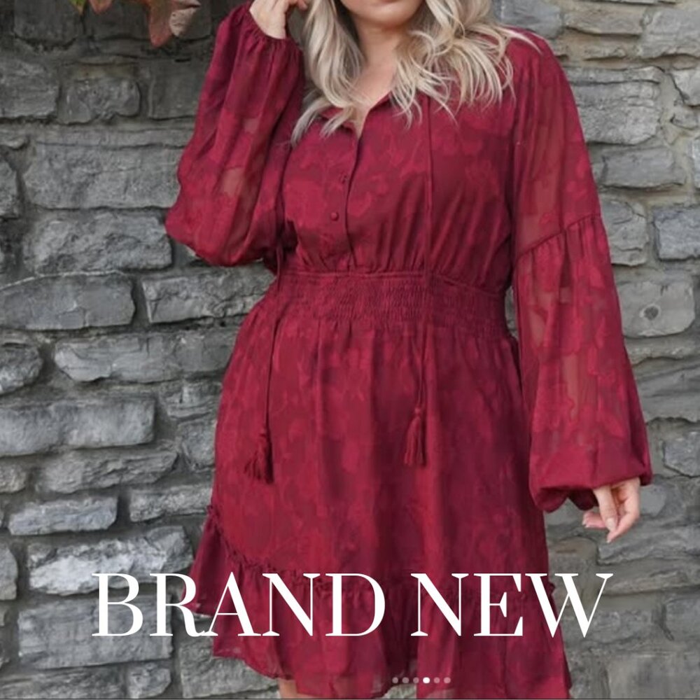 Hailey & Co. Rich Wine Red Smocked Dress | Brand New